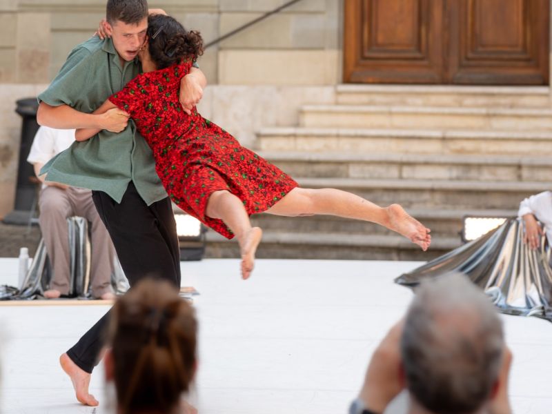 dansehabile fete musique 21.06.2025